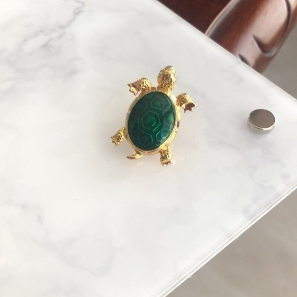 Vintage Turtle Label Pin